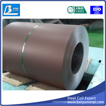 Prepainted Steel Sheet in Coil for MID East Market
